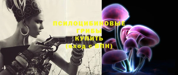 дживик Баксан