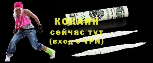 шишки Балахна