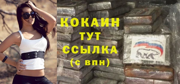 шишки Балахна