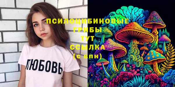 шишки Балахна
