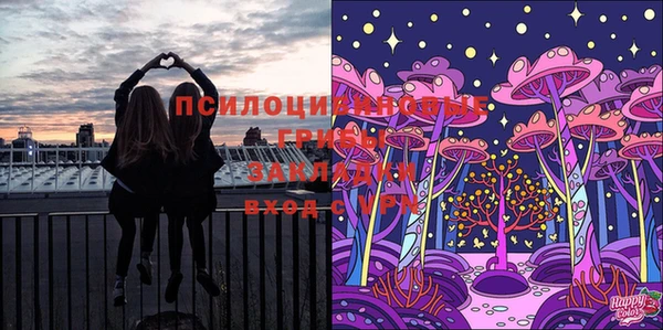 шишки Балахна